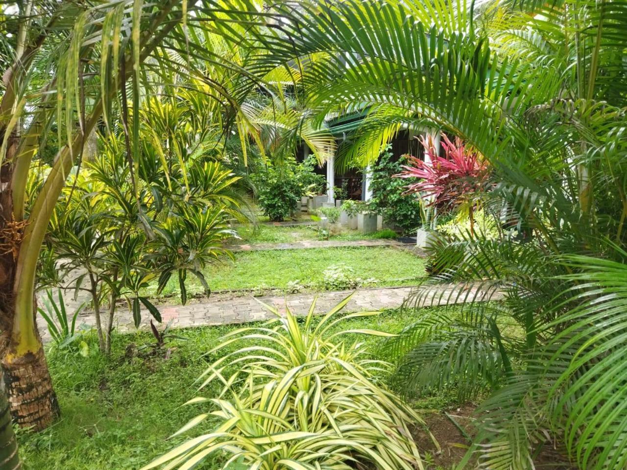 Lion Paradise Surf Beach Matara Exteriör bild