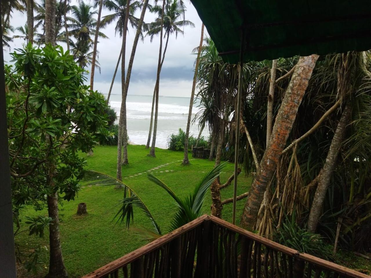 Lion Paradise Surf Beach Matara Exteriör bild