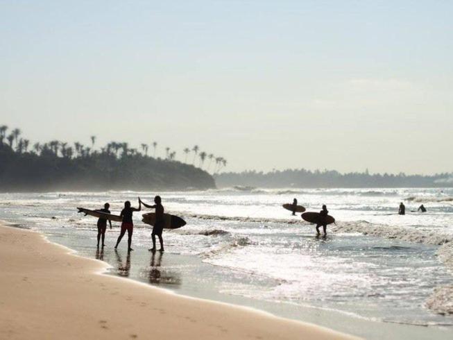 Lion Paradise Surf Beach Matara Exteriör bild